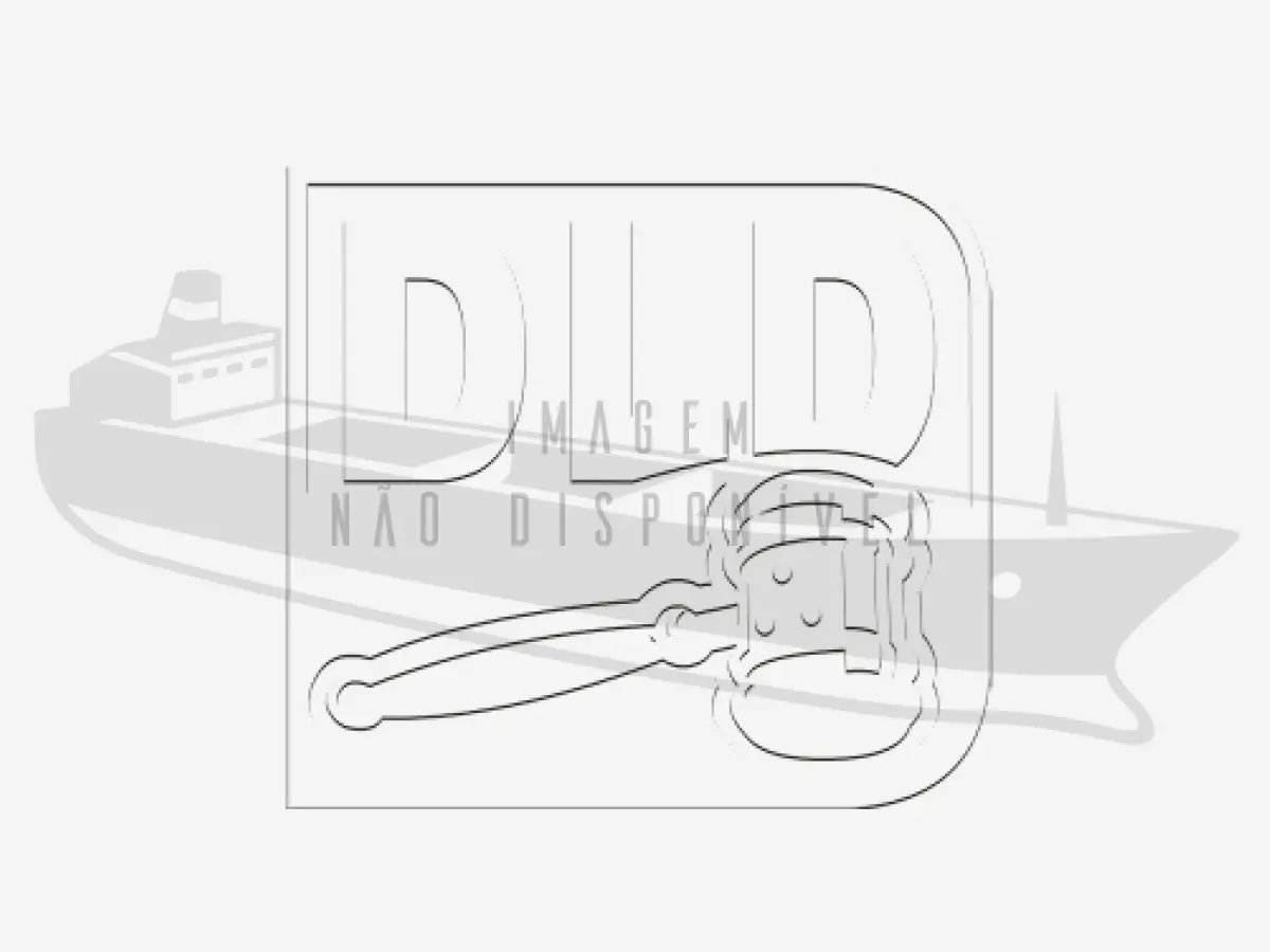 LOTE 001 - Uma embarcação graneleira