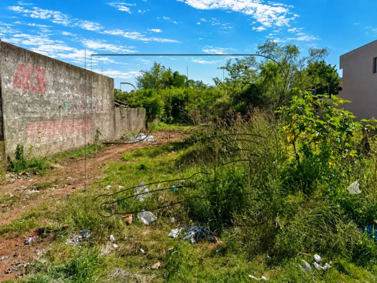 LOTE 001