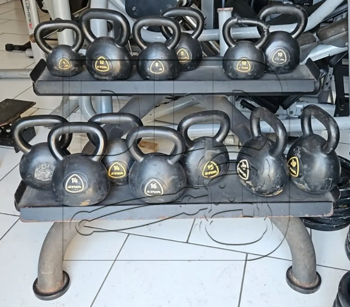 LOTE 011 - Diversos Equipamentos de Academia