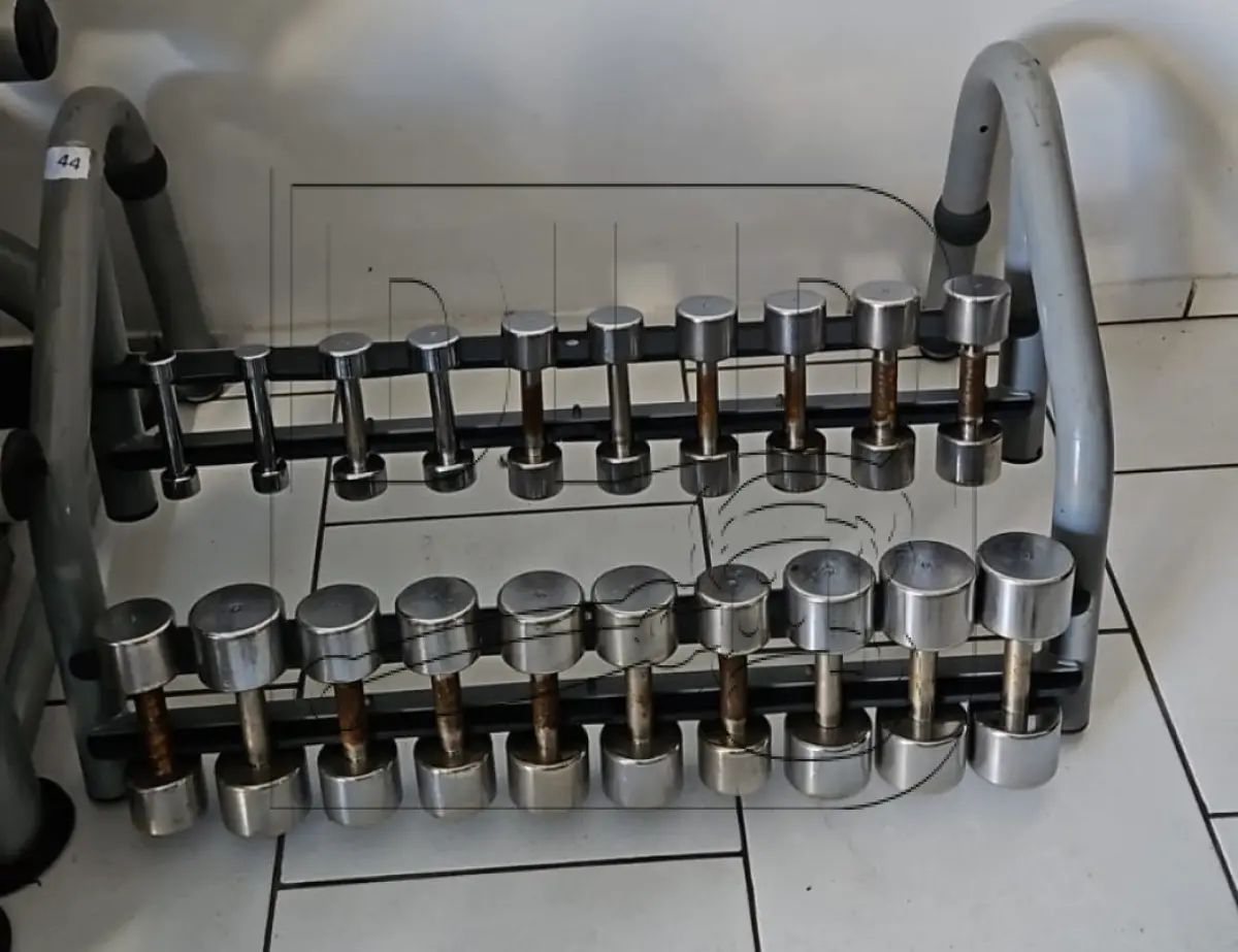 LOTE 011 - Diversos Equipamentos de Academia